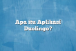 Apa itu Aplikasi Duolingo?