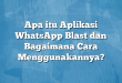 Apa itu Aplikasi WhatsApp Blast dan Bagaimana Cara Menggunakannya?