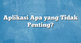 Aplikasi Apa yang Tidak Penting?