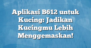 Aplikasi B612 untuk Kucing: Jadikan Kucingmu Lebih Menggemaskan!