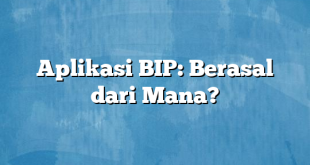 Aplikasi BIP: Berasal dari Mana?