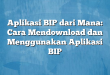 Aplikasi BIP dari Mana: Cara Mendownload dan Menggunakan Aplikasi BIP