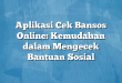 Aplikasi Cek Bansos Online: Kemudahan dalam Mengecek Bantuan Sosial