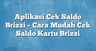 Aplikasi Cek Saldo Brizzi – Cara Mudah Cek Saldo Kartu Brizzi