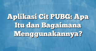 Aplikasi Cit PUBG: Apa Itu dan Bagaimana Menggunakannya?