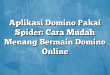 Aplikasi Domino Pakai Spider: Cara Mudah Menang Bermain Domino Online