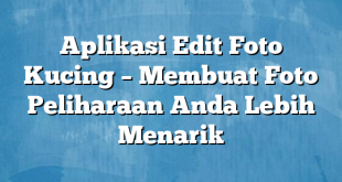 Aplikasi Edit Foto Kucing – Membuat Foto Peliharaan Anda Lebih Menarik