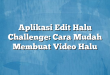 Aplikasi Edit Halu Challenge: Cara Mudah Membuat Video Halu