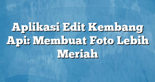 Aplikasi Edit Kembang Api: Membuat Foto Lebih Meriah