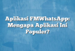 Aplikasi FMWhatsApp: Mengapa Aplikasi Ini Populer?