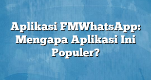 Aplikasi FMWhatsApp: Mengapa Aplikasi Ini Populer?