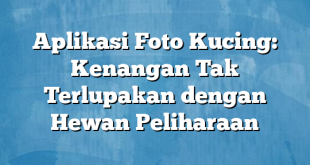 Aplikasi Foto Kucing: Kenangan Tak Terlupakan dengan Hewan Peliharaan