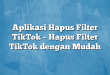 Aplikasi Hapus Filter TikTok – Hapus Filter TikTok dengan Mudah