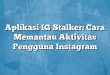 Aplikasi IG Stalker: Cara Memantau Aktivitas Pengguna Instagram