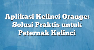 Aplikasi Kelinci Orange: Solusi Praktis untuk Peternak Kelinci