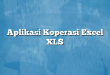 Aplikasi Koperasi Excel XLS