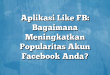 Aplikasi Like FB: Bagaimana Meningkatkan Popularitas Akun Facebook Anda?