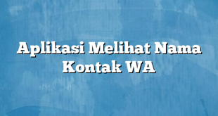 Aplikasi Melihat Nama Kontak WA