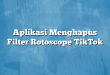 Aplikasi Menghapus Filter Rotoscope TikTok