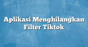 Aplikasi Menghilangkan Filter Tiktok