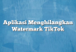 Aplikasi Menghilangkan Watermark TikTok