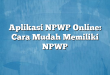 Aplikasi NPWP Online: Cara Mudah Memiliki NPWP