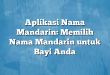 Aplikasi Nama Mandarin: Memilih Nama Mandarin untuk Bayi Anda