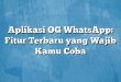 Aplikasi OG WhatsApp: Fitur Terbaru yang Wajib Kamu Coba