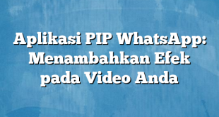 Aplikasi PIP WhatsApp: Menambahkan Efek pada Video Anda