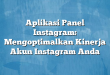Aplikasi Panel Instagram: Mengoptimalkan Kinerja Akun Instagram Anda