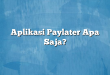 Aplikasi Paylater Apa Saja?