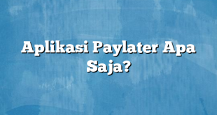 Aplikasi Paylater Apa Saja?