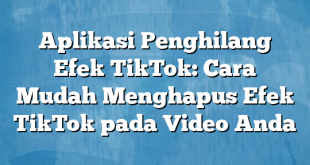 Aplikasi Penghilang Efek TikTok: Cara Mudah Menghapus Efek TikTok pada Video Anda