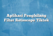 Aplikasi Penghilang Filter Rotoscope Tiktok