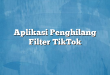 Aplikasi Penghilang Filter TikTok