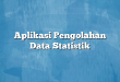 Aplikasi Pengolahan Data Statistik