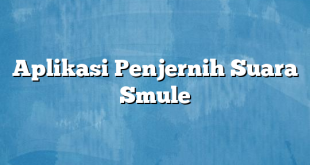 Aplikasi Penjernih Suara Smule