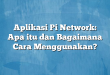 Aplikasi Pi Network: Apa itu dan Bagaimana Cara Menggunakan?