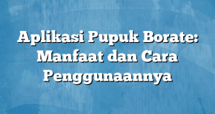 Aplikasi Pupuk Borate: Manfaat dan Cara Penggunaannya