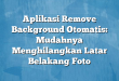 Aplikasi Remove Background Otomatis: Mudahnya Menghilangkan Latar Belakang Foto