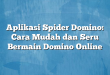 Aplikasi Spider Domino: Cara Mudah dan Seru Bermain Domino Online