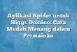 Aplikasi Spider untuk Higgs Domino: Cara Mudah Menang dalam Permainan