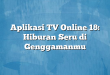 Aplikasi TV Online 18: Hiburan Seru di Genggamanmu