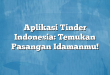 Aplikasi Tinder Indonesia: Temukan Pasangan Idamanmu!