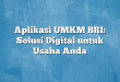 Aplikasi UMKM BRI: Solusi Digital untuk Usaha Anda