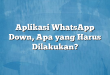 Aplikasi WhatsApp Down, Apa yang Harus Dilakukan?