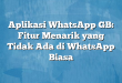 Aplikasi WhatsApp GB: Fitur Menarik yang Tidak Ada di WhatsApp Biasa