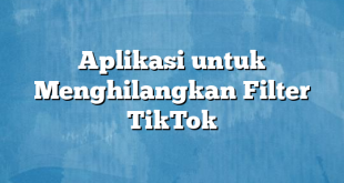 Aplikasi untuk Menghilangkan Filter TikTok