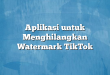 Aplikasi untuk Menghilangkan Watermark TikTok