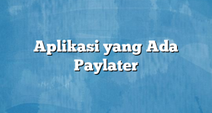 Aplikasi yang Ada Paylater